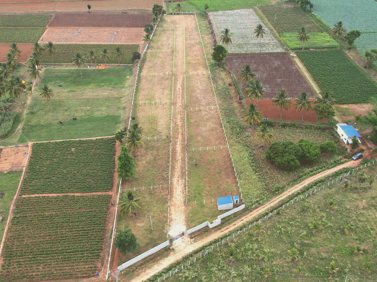 chandhana-plot
